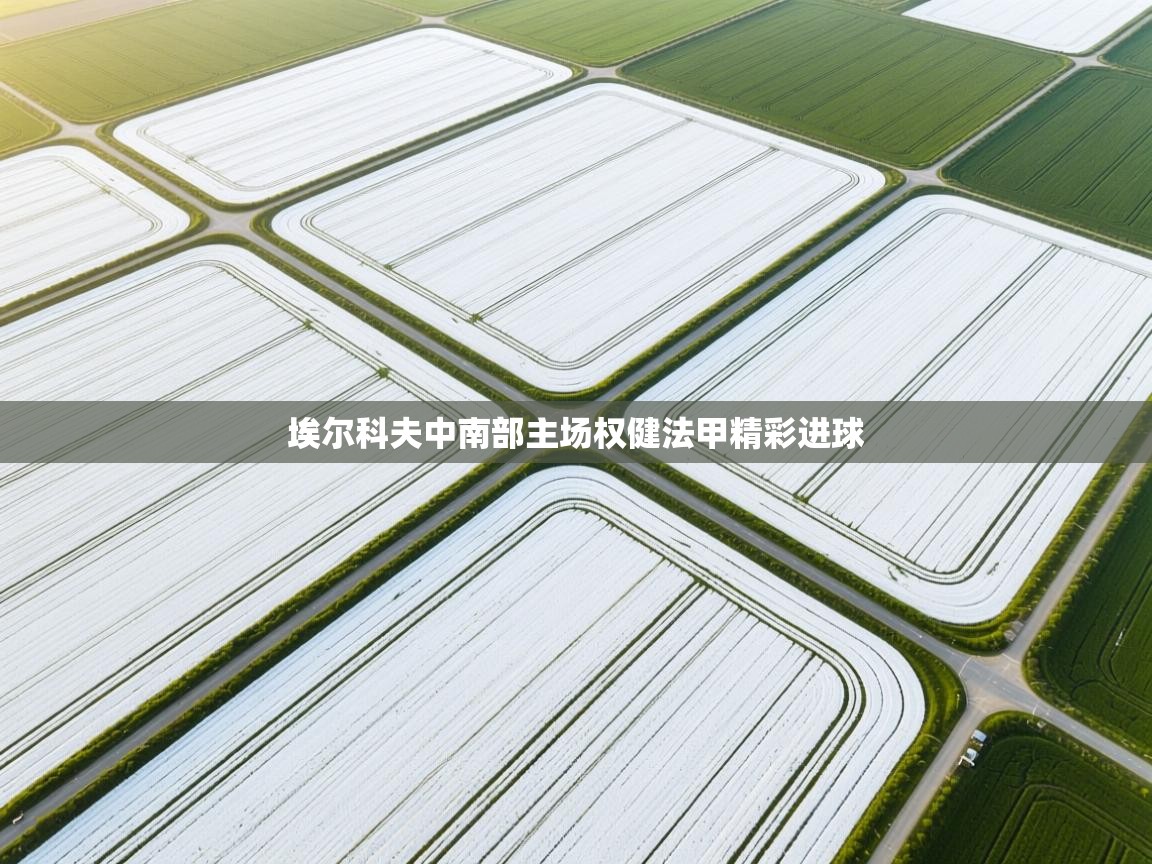 埃尔科夫中南部主场权健法甲精彩进球 第2张